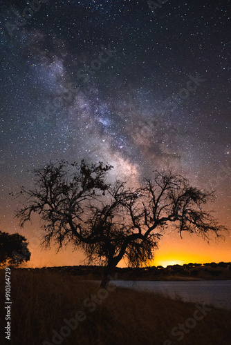 Milky Way arches over a solitary tree by Alqueva Lake, Portugal, capturing the serene beauty of the night sky in this stunning astrophotography shot. photo