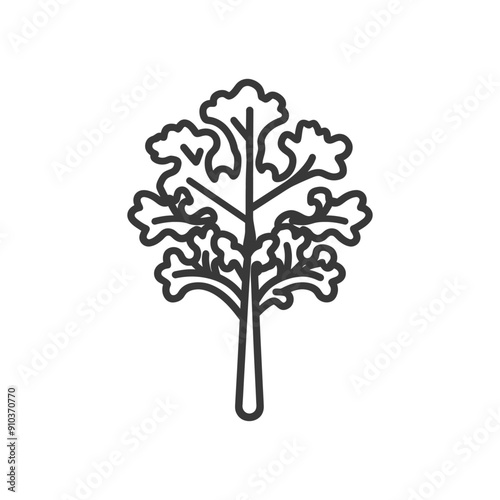 Line art drawing of a single stalk of kale