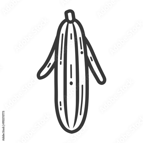 Line art drawing of a peeled cucumber