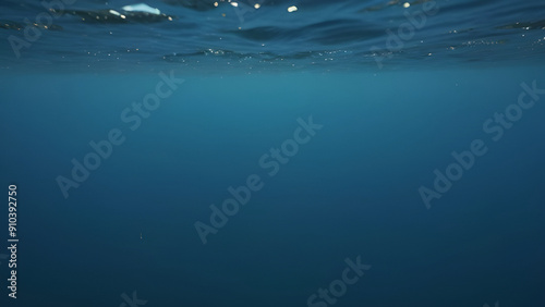 underwater view of a reef in the sea