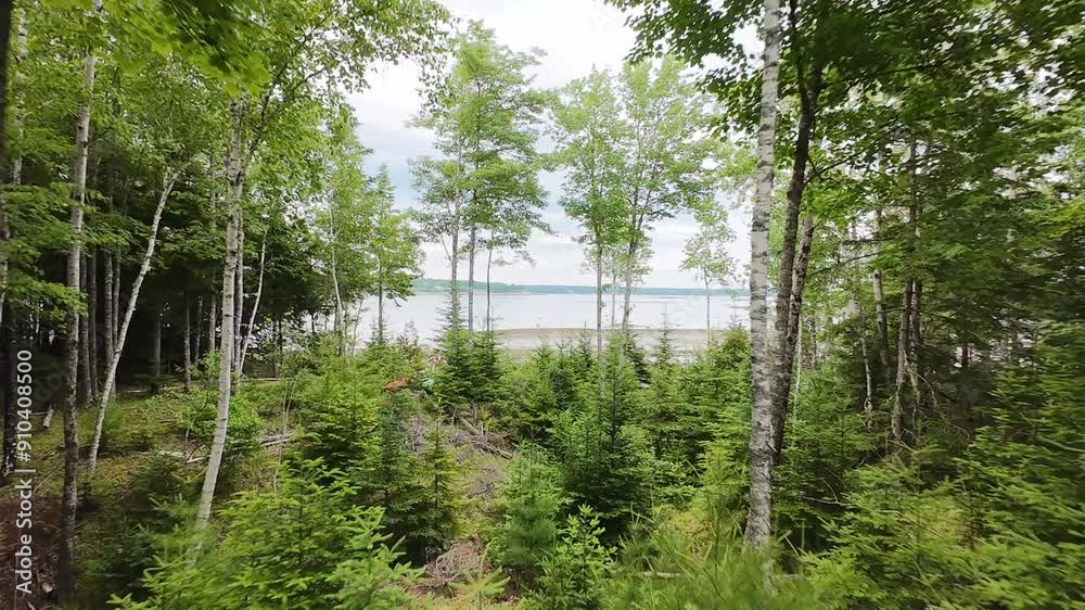 Acadia Coastal Main Bay