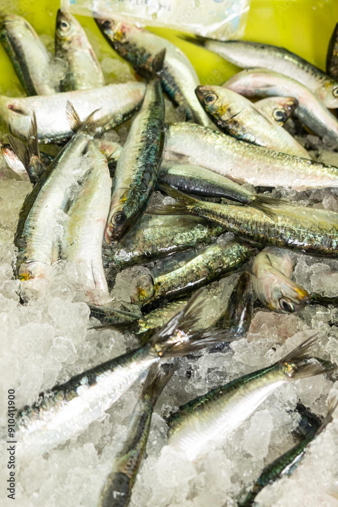 freshly caught sardines for sale in a fish market, healthy and fresh food concept