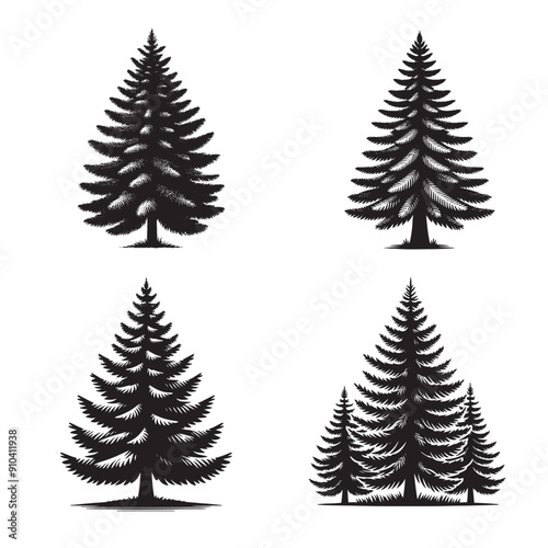 Black and White Spruce Vector Illustration, Simple Spruce Tree Design, Outline of Spruce Tree Art