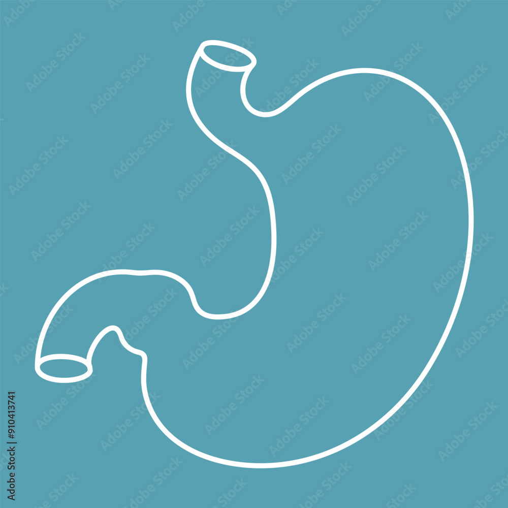Stomach line icon isolated in blue background. Vector illustration Stomach line icon isolated in blue background. Vector illustration