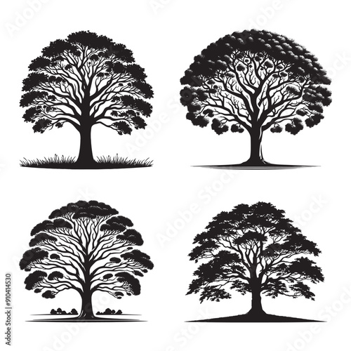 Black and White Sycamore Vector Illustration, Simple Sycamore Tree Design, Sycamore Tree Silhouette set