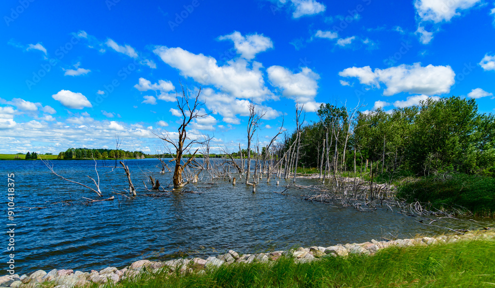 Natural landscape, Flooded forest, dry trees stand in the water in Northern Minnesota Natural landscape, Flooded forest, dry trees stand in the water in Northern Minnesota