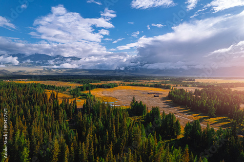 Aerial top view road in forest with car motion. Winding highway through green trees Altai. Concept ecosystem ecology healthy environment, travel trip