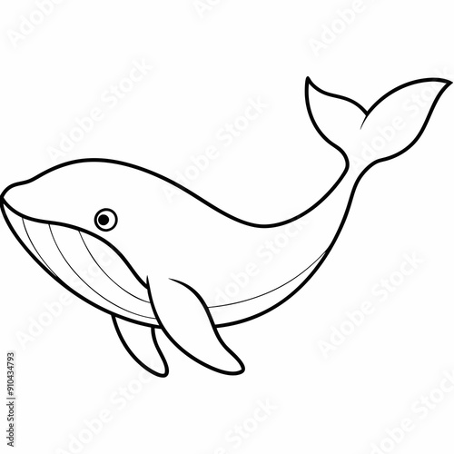 Whale vector illustration. Outline drawing colouring page in underwater book or page for children.