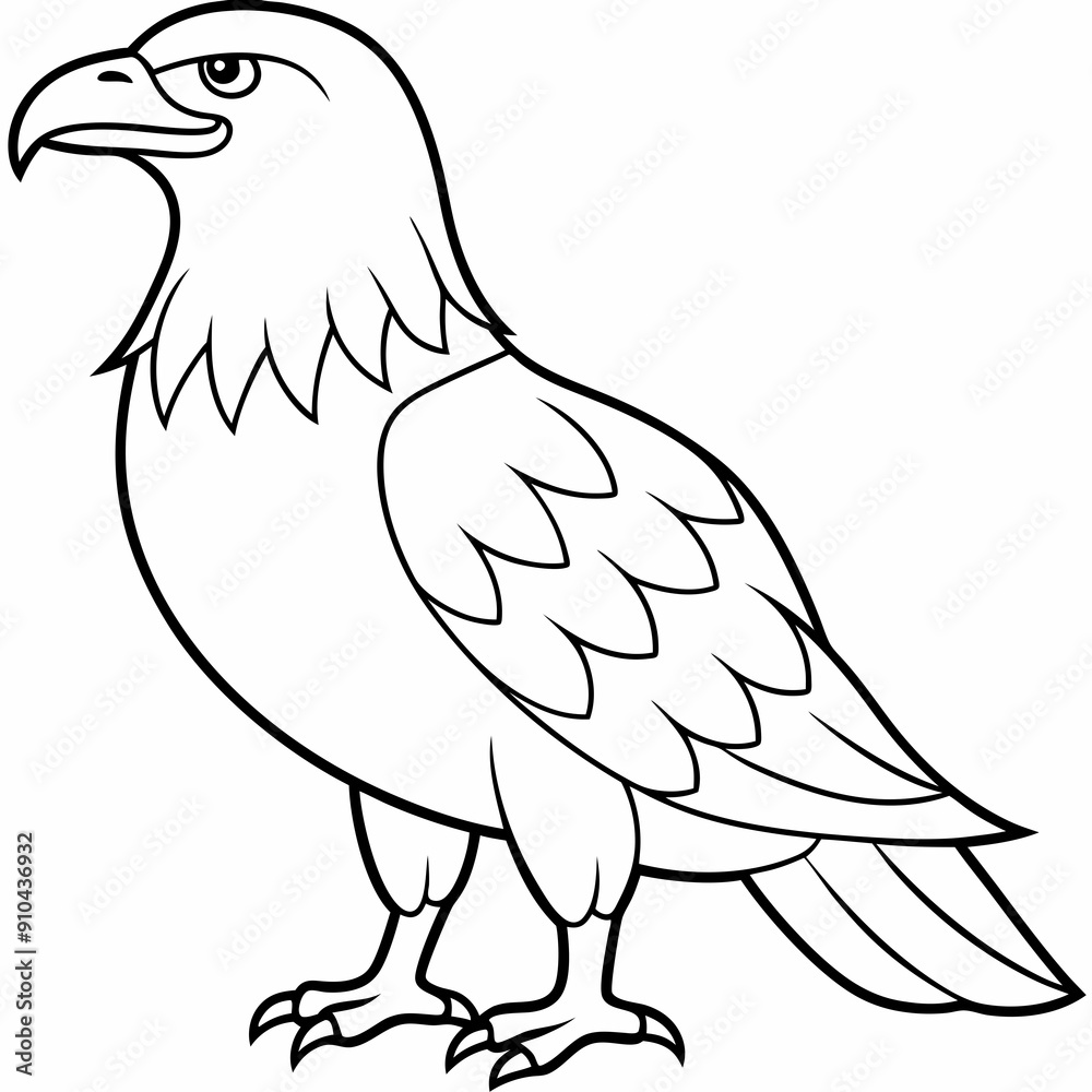 Fototapeta premium Eagle bird coloring pages mandala designe outline vector illustration for kids coloring book