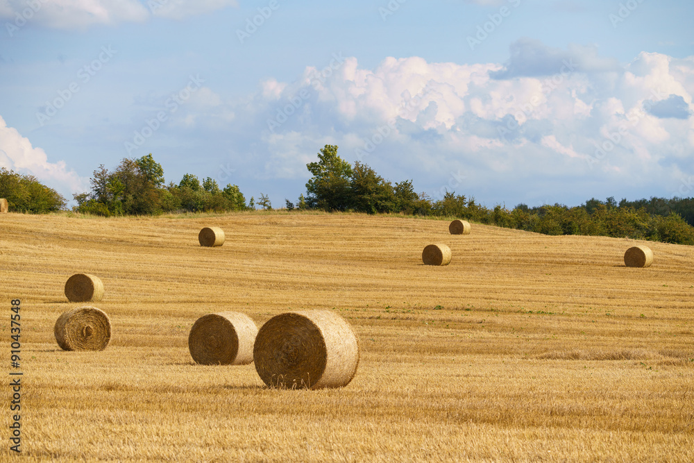 Fototapeta premium agricultural field with hay bales on a sunny summer day, blue sky with some clouds