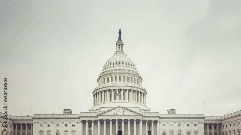 Obraz premium The White House is a large building with a dome on top. The building is surrounded by a large plaza and is located in Washington D.C