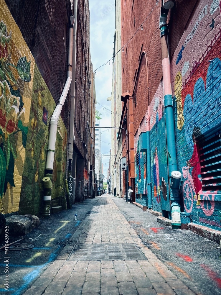 Fototapeta premium Painted alleyway