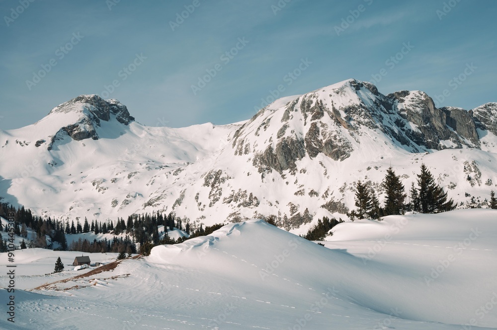 Fototapeta premium Berge im Winter