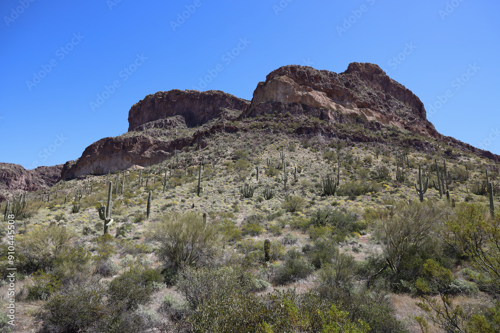 Desert landscape at Organ Pipe Cactus National Monument, Arizona Desert landscape at Organ Pipe Cactus National Monument, Arizona