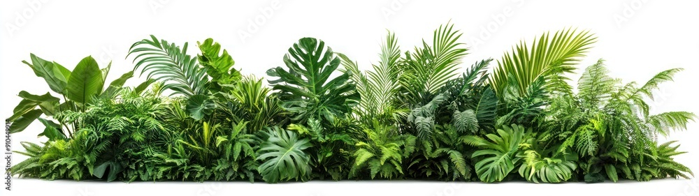 Lush Green Tropical Foliage on White Background Lush Green Tropical Foliage on White Background