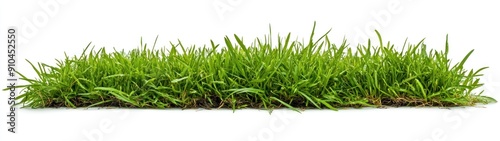 Lush Green Grass Patch Isolated on White Background