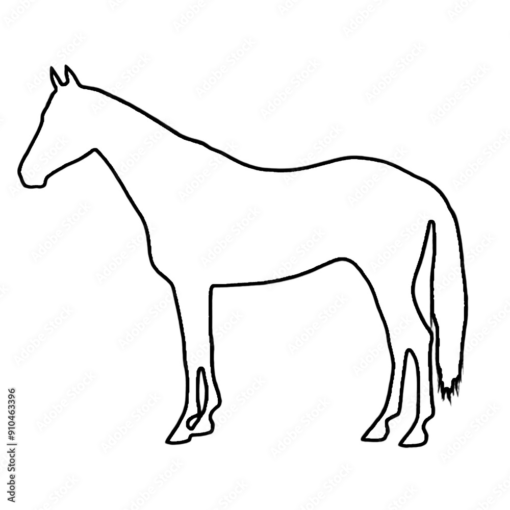 Horse Drawing | Horse Illustration | Horse Outline