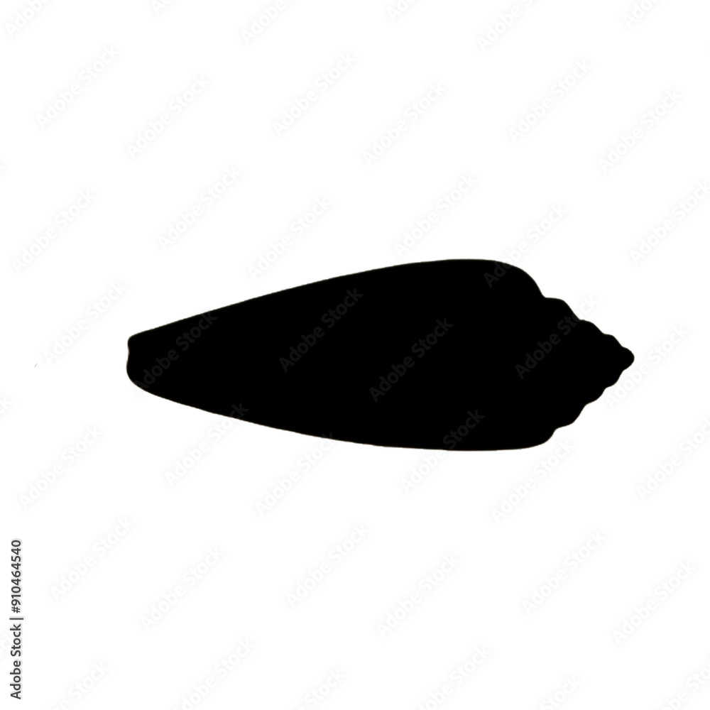 Seashell | Shell Illustration | Shell Outline Seashell | Shell Illustration | Shell Outline
