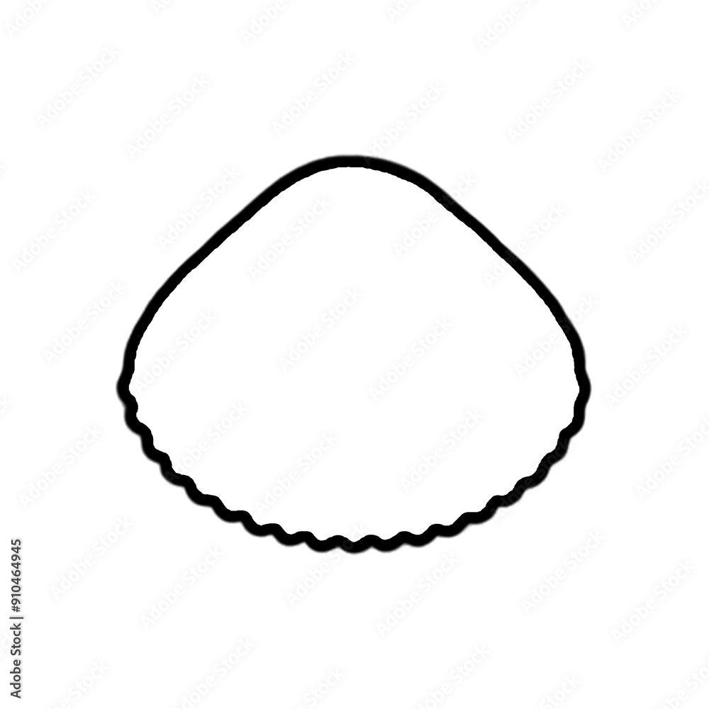 Seashell | Shell Illustration | Shell Outline Seashell | Shell Illustration | Shell Outline