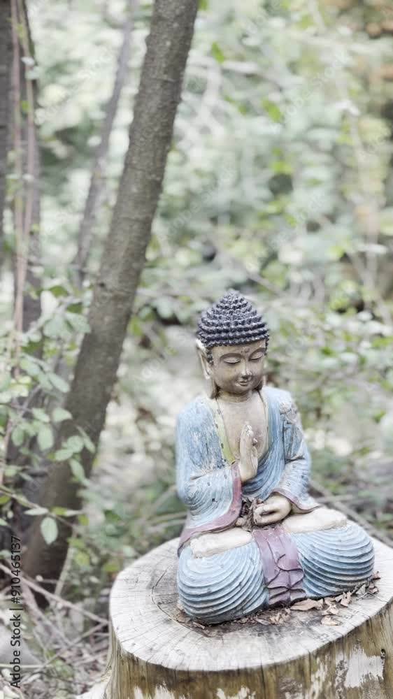 video of Buda statue in nature with river in the back video of Buda statue in nature with river in the back