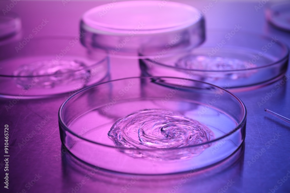 Petri dishes with samples in neon lights on table, closeup Petri dishes with samples in neon lights on table, closeup
