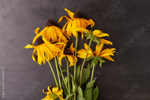 Aesthetic dry wild flowers on rustic battered black background. photo