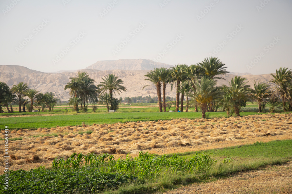 Beautiful view of village landscape in Luxor, Egypt