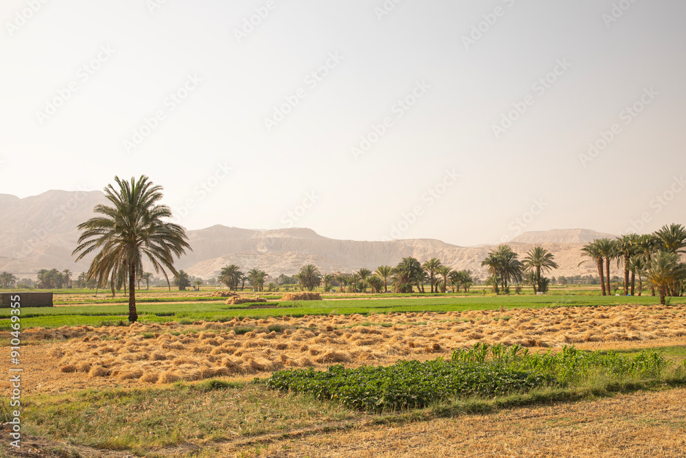 Beautiful view of village landscape in Luxor, Egypt