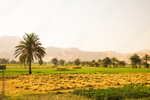 Beautiful view of village landscape in Luxor, Egypt