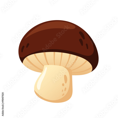 Boletus mushroom. Vector champignon mushroom on a white background. Vector illustration of brown mushroom