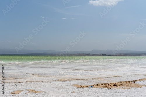 Salt crystals emerging from the water with mountains in the background, Lake Assal, Djibouti photo