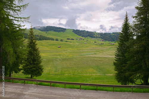 Wallpaper Mural Lush landscape of green rolling hills with a patch of bright yellow blossoms under a cloudy. Scenic panoramic view with green meadows in summer. Grass Covered Ridge Lines and Hills in Alps nature park Torontodigital.ca