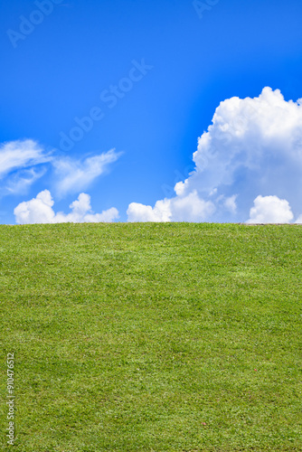 Fototapeta Naklejka Na Ścianę i Meble -  Grassy meadow, field, lawn, grassland. Green meadow background. Landscape background. Green grass field and blue sky. Wide green field. Green grass field for background.