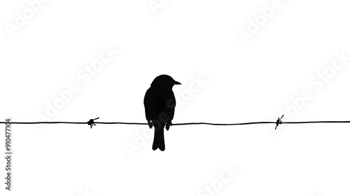 Black and white bird illustration of a silhouette on a wire photo