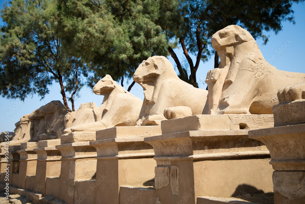 Beautiful view of ram sculptures in ancient Karnak Temple in Luxor, Egypt