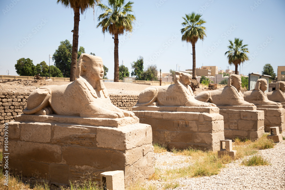 Beautiful view of the sphinx sculptures in ancient Luxor Temple in Luxor, Egypt