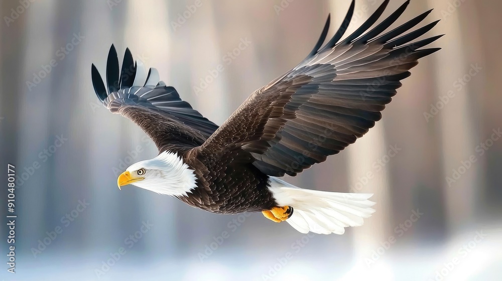 A bald eagle gracefully flies above a snowy landscape, showcasing its impressive wingspan and striking features in winter's serene beauty A bald eagle gracefully flies above a snowy landscape, showcasing its impressive wingspan and striking features in winter's serene beauty