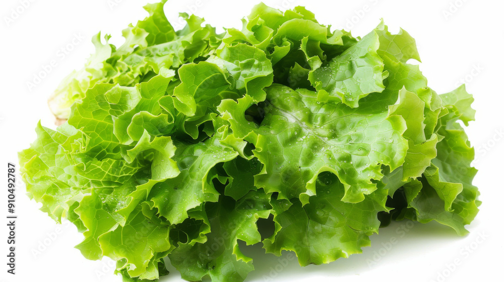 A whole lettuce isolated on white A whole lettuce isolated on white
