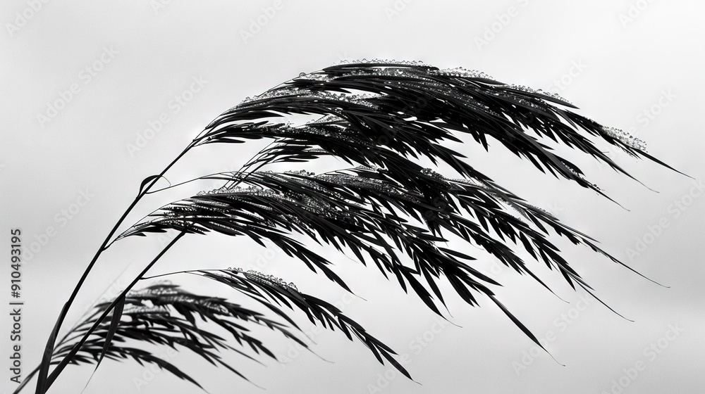 Obraz premium A monochromatic image featuring a lush plant against a muted backdrop of gray clouds