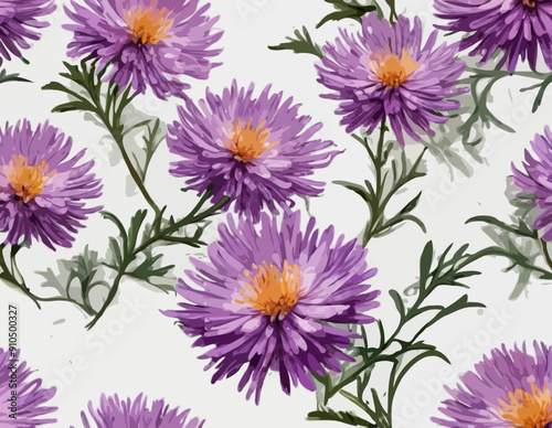 Botanical Style Aster Flower On A Transparent Background 
