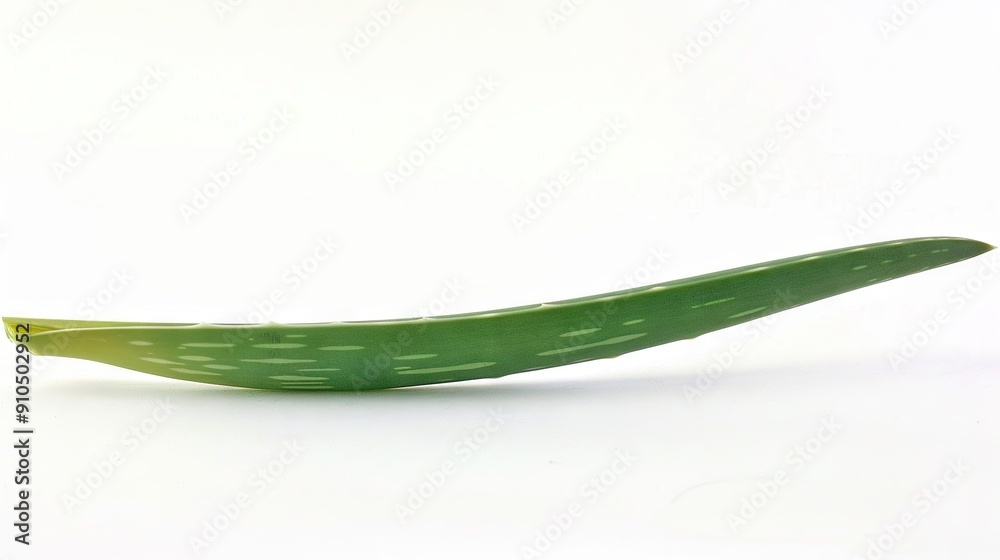A cucumber on a white surface with a piece of paper nearby on a table A cucumber on a white surface with a piece of paper nearby on a table