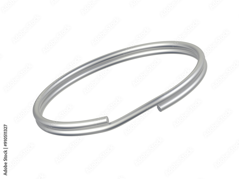 Keyring. Isolated. 3d illustration. Keyring. Isolated. 3d illustration.