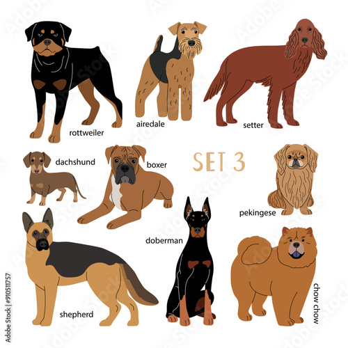Set of brown dogs of various breeds