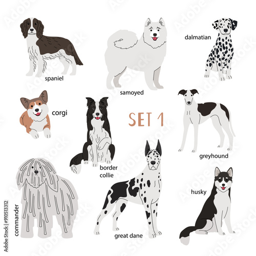 Set of various breeds white dogs