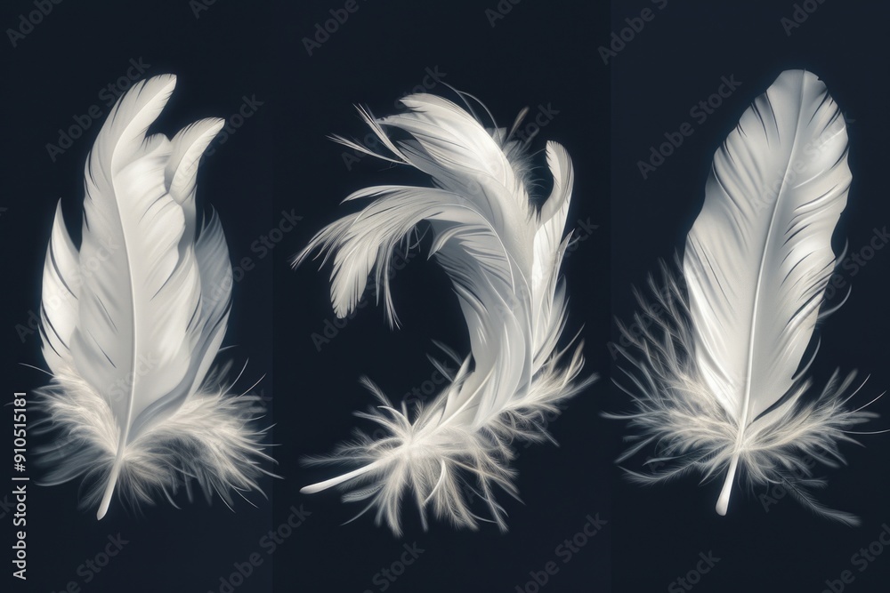 Obraz premium A set of three images featuring white feathers in different arrangements