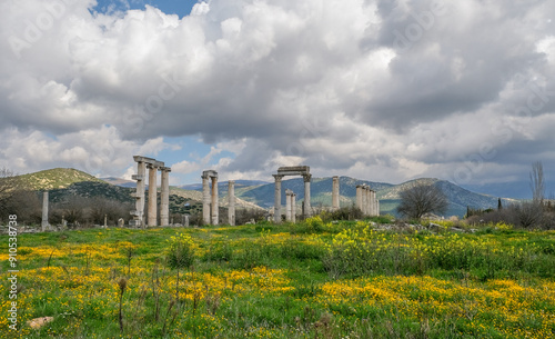 Ausgrabungsstätte Aphrodisias, Türkei photo