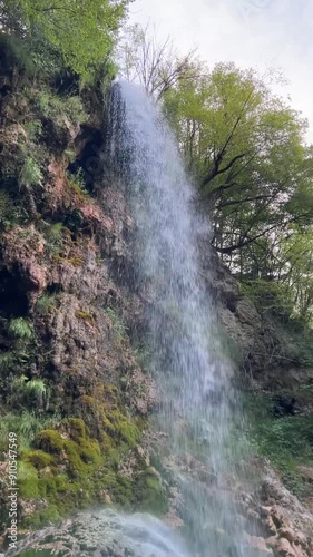 waterfall in the forest