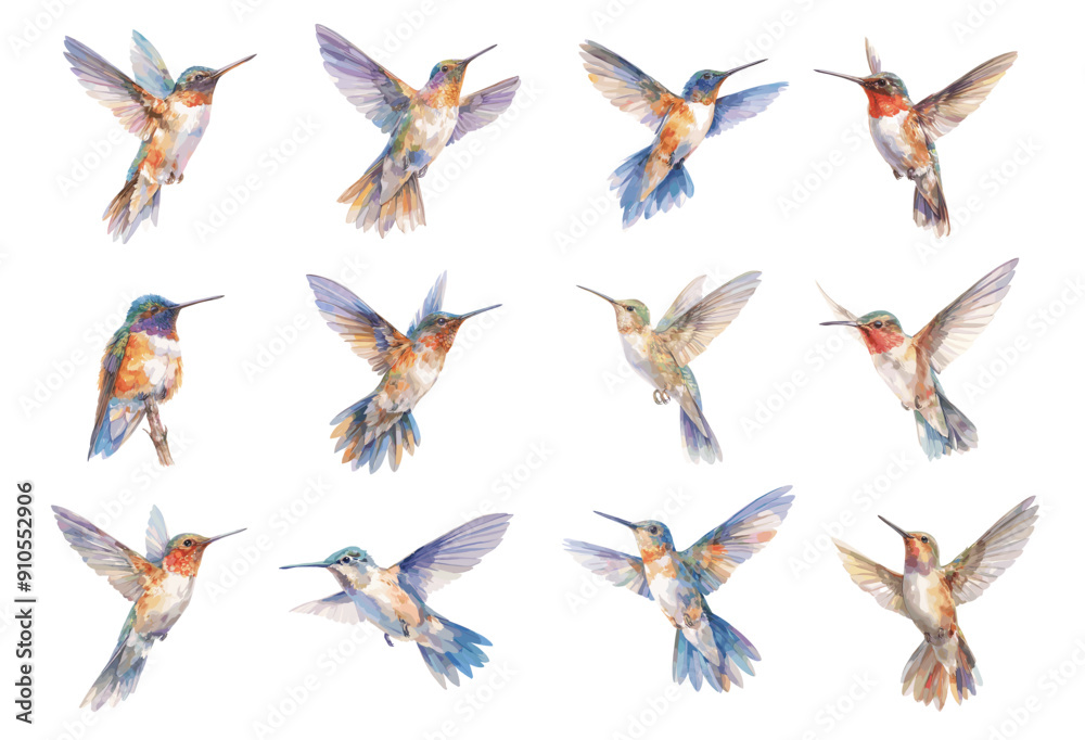 Obraz premium Watercolor hummingbird set. Flying exotic tropical blue bird, cute little colorful feather animal vector illustration