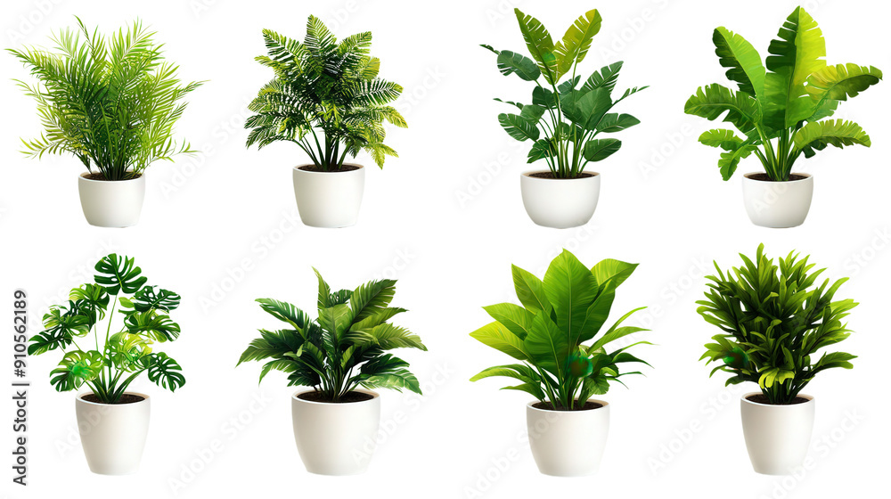 various plants in a white pot, isolated png transparent background various plants in a white pot, isolated png transparent background