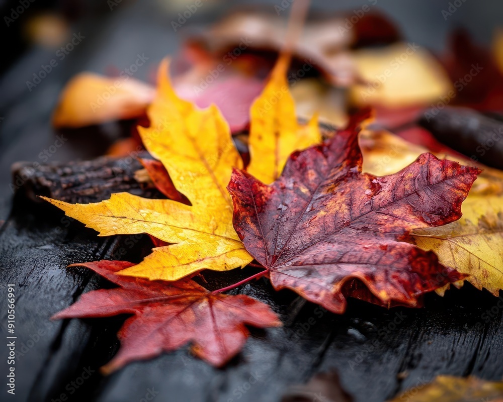 Autumn leaves, vibrant colors, lush greenery, serene environment, inviting Autumn leaves, vibrant colors, lush greenery, serene environment, inviting